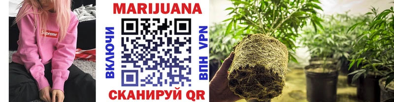 Шишки марихуана LSD WEED  KRAKEN рабочий сайт  Кировск  как найти наркотики 